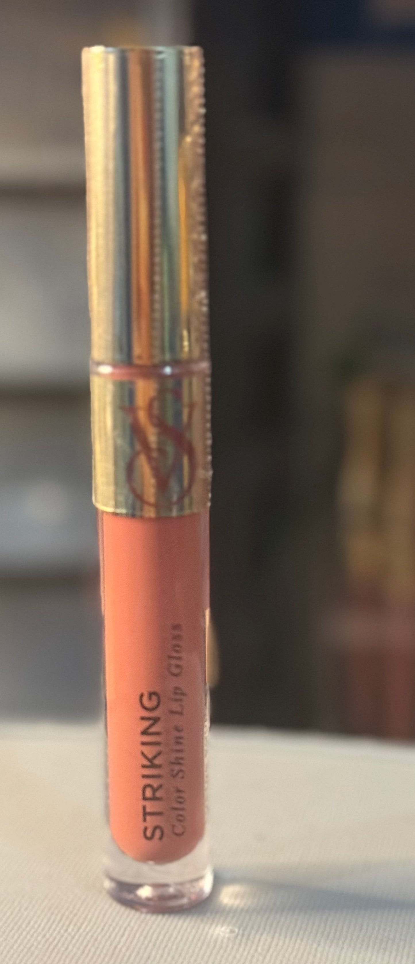 Brillo Labial VS